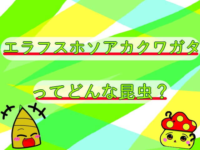 Thumbnail of post image 147